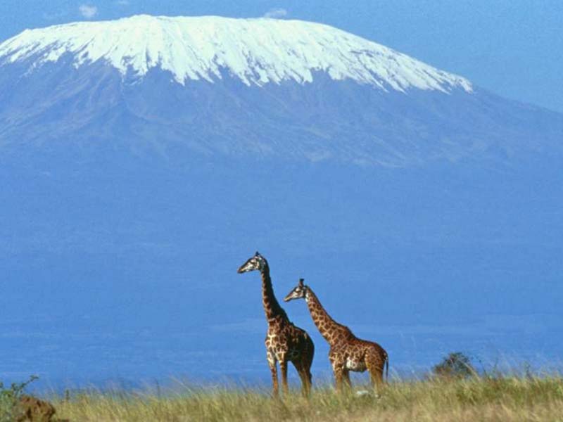 kilimanjaro-hegy