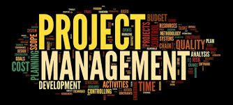 projekt menedzsment project management