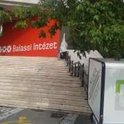 Magyarnak lenni és start-up-nak