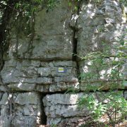 Újabb világszenzáció a Gömböc egyik felfedezőjétől