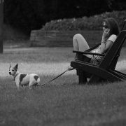 A roaming is a vírus áldozata lett