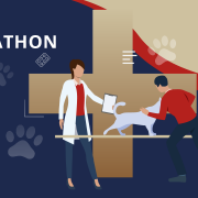 Állatorvosi hackaton: VETATHON - egyetemi hallgatók fogtak össze a pandémia ellen