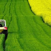 Az agrárium égető problémáira hoznak megoldást a startupok