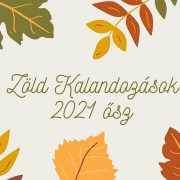 Így lehet fenntartható életet élni a járvány után