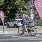 Szegeden adták át az ötvenedik okoszebrát