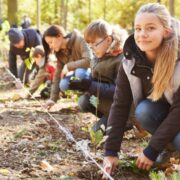 10 millió fa ültetése petíció, fotó: 10 millió Fa Alapítvány