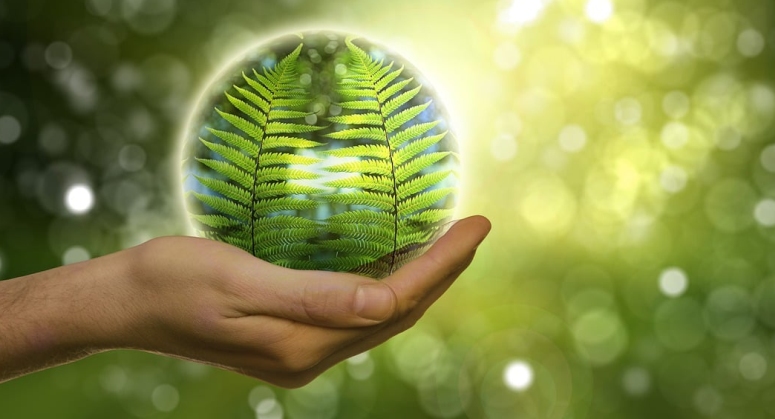 EIT InnoEnergy, fenntarthatóság, fotó: pixabay.com 