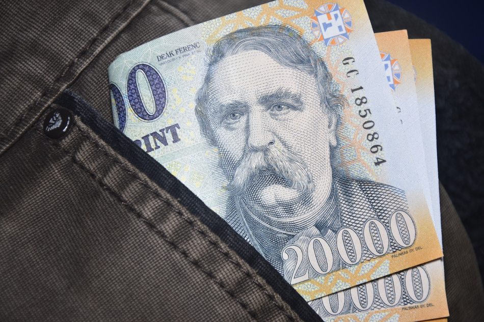 devizára - hungarian forint HUF Pixabay