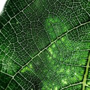 Hello Cleantech - EIT Innoenergy