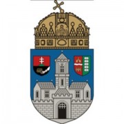 Magyar robotrepülő