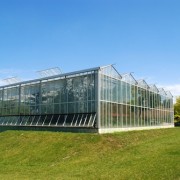 EU FP7-es támogatással irány India