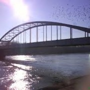 Szegedre megy a kockatőke