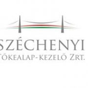 A hazai tőkepiac szereplői szerint az SZTA befektetői tevékenysége hiánypótló