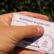 Fizethetsz a kórházért, ha hazajössz!